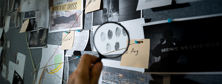 audit-and-assurance