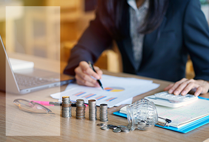 Audit and Assurance and Management Consulting
